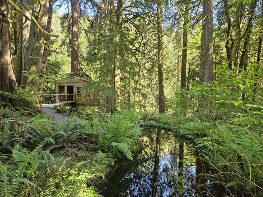 TreeHouse Point by null
