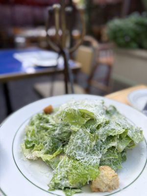 Pastis Miami by null