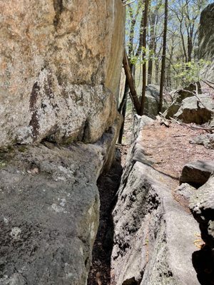 Harriman State Park by null