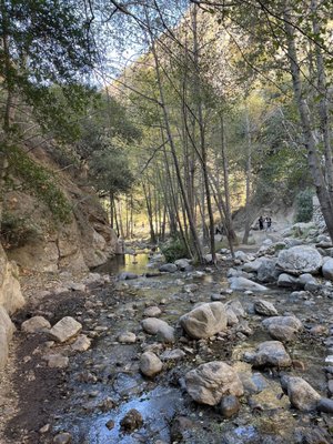 Eaton Canyon Nature Center by null