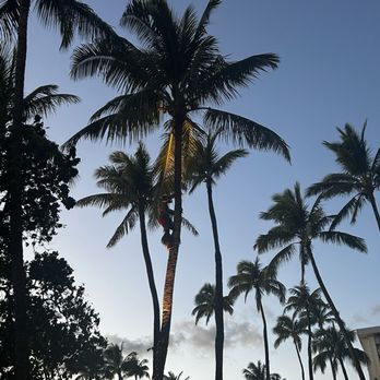 Wailele Luau - Performing Arts Near Me - Lahaina, Hawaii Wailele Luau - Performing Arts Near Me - Lahaina, Hawaii