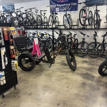 Omega Bicycle Shop - Bikes Near Me - Oceanside, California Omega Bicycle Shop - Bikes Near Me - Oceanside, California