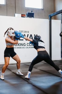 Prevail Boxing by null