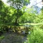 Photo of Bradford River Walk / Limestone Way