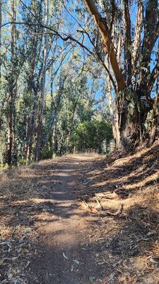 Anthony Chabot Regional Park by null