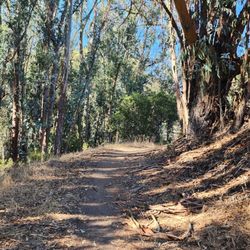 Anthony Chabot Regional Park