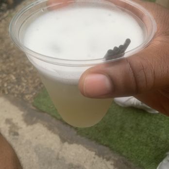 The Rogers Garden - Cocktail Bars Near Me - Brooklyn, New York