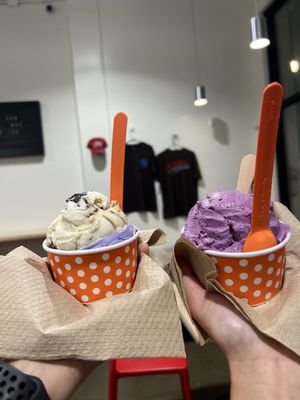 Scoops On Tap by null