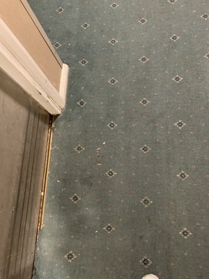 Royal National Hotel by null