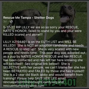 HONOR ANIMAL RESCUE - 11 Photos & 31 Reviews - 4951 Lorraine Rd