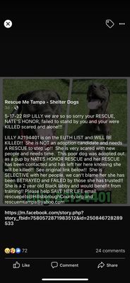 HONOR ANIMAL RESCUE - 11 Photos & 29 Reviews - Animal Shelters - 4951