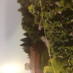 Azienda Vinicola Col Dovigo - Foto dell'azienda vinicola presa dalla brochure :) mica potevamo andar per campi!! :)