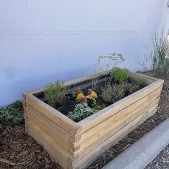 Sunday Bagels - Plants at entrance - Bagels Near Me - Albuquerque, New Mexico