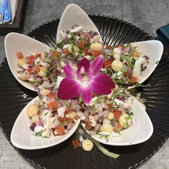 Aji Ceviche Bar - Seafood Near Me - St. Petersburg, Florida Aji Ceviche Bar - Seafood Near Me - St. Petersburg, Florida