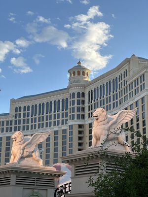 Bellagio Hotel & Casino by null