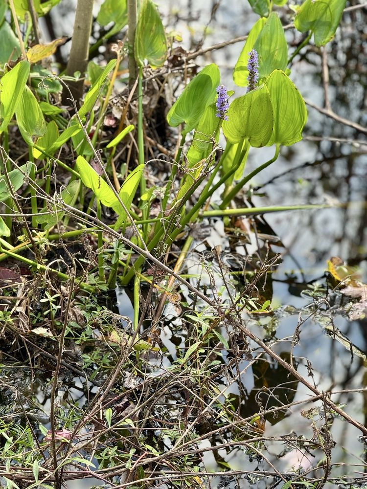 Circle B Bar Reserve