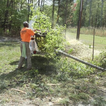 Eaddy's Tree Specialists - Tree Services Near Me - Columbia, South Carolina Eaddy's Tree Specialists - Tree Services Near Me - Columbia, South Carolina