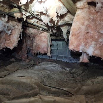 Brandon's Pest Services - Clients crawlspace in need of some TLC - Pest Control Near Me Brandon's Pest Services - Clients crawlspace in need of some TLC - Pest Control Near Me