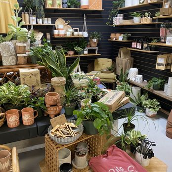 Botanical House - Coffee Roasteries Near Me - New Smyrna Beach, Florida