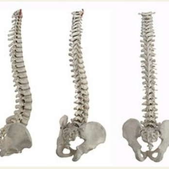Livermore Chiropractic - Chiropractors Near Me - Livermore, California Livermore Chiropractic - Chiropractors Near Me - Livermore, California