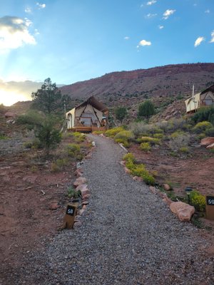 Under Canvas Zion by null