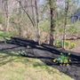 Photo of High Performance Tree & Lawn