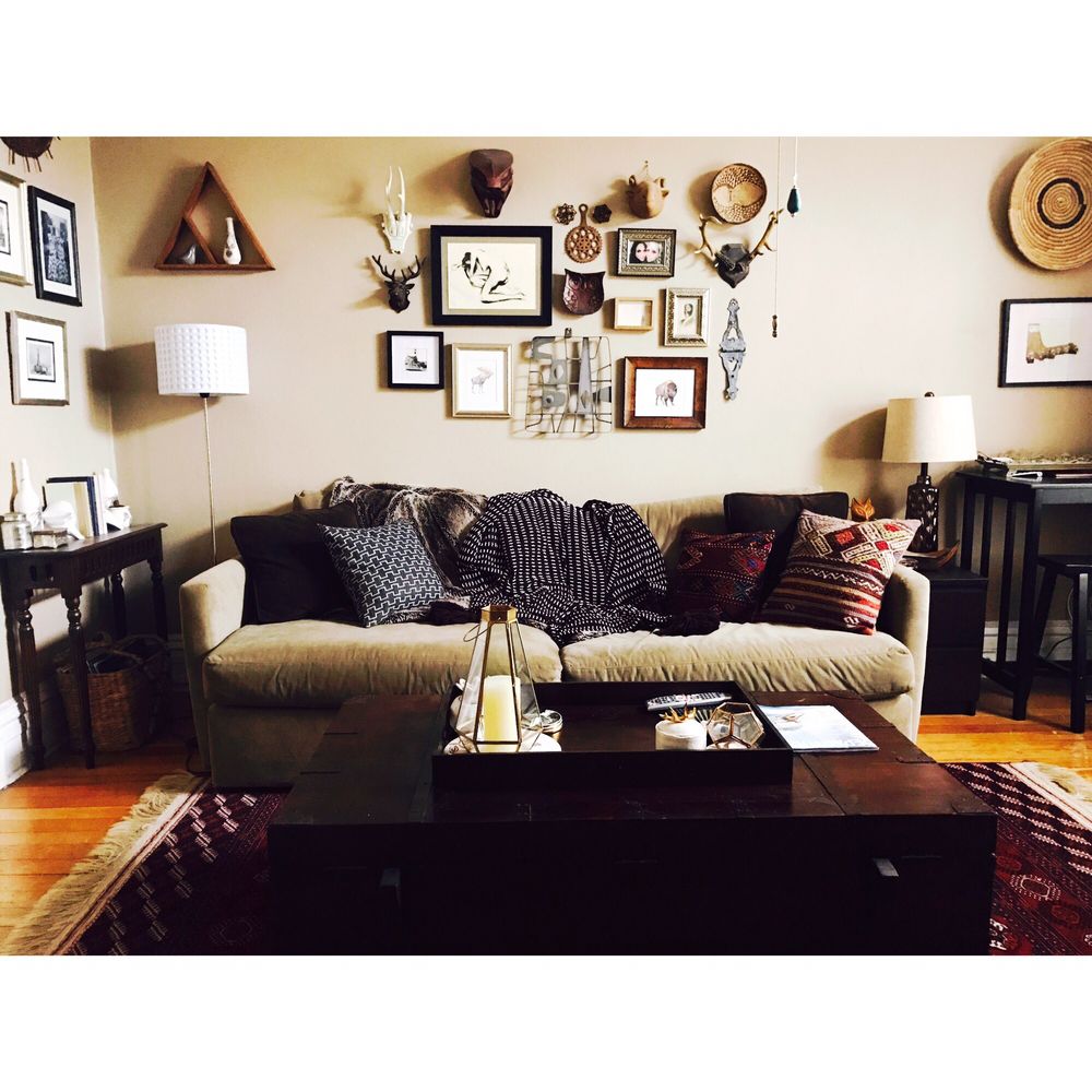 Rita Oriental Rugs - New rug called for new pillows and throws. - Rugs Near Me - Chicago, Illinois