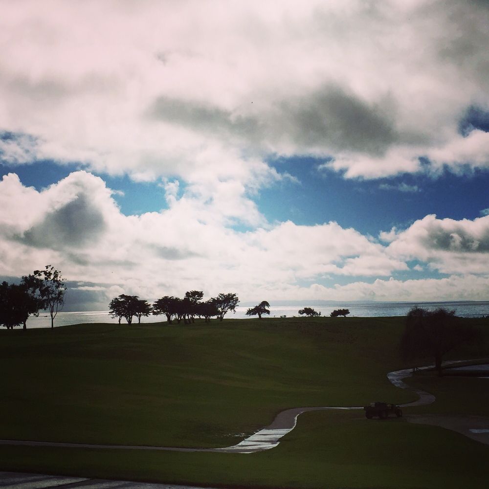 Sandpiper Grill - Can't beat this view after a morning rain!! - American Near Me - Santa Barbara, California Sandpiper Grill - Can't beat this view after a morning rain!! - American Near Me - Santa Barbara, California