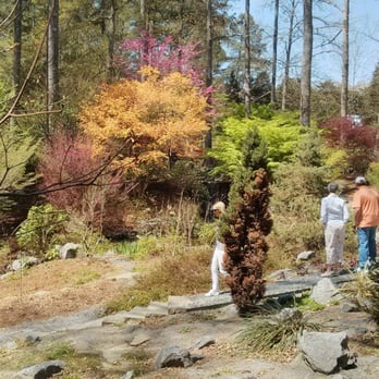 Smith-Gilbert Gardens - April 2014 little waterfall between the trees in the distance - Botanical Gardens Near Me - Kennesaw, Georgia