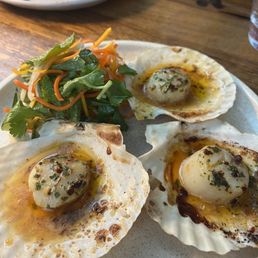 Scallops