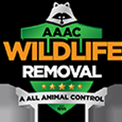 AAAC Wildlife Removal of Pittsburgh