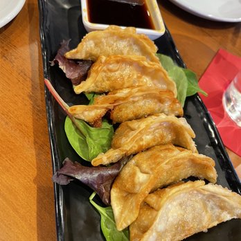 Bakudan Ramen - Gyoza pork - Ramen Near Me - San Antonio, Texas Bakudan Ramen - Gyoza pork - Ramen Near Me - San Antonio, Texas