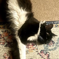 Catmandu Retreat