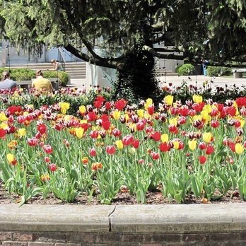 Eastern Kentucky University - Flower Beds are scattered throughout the campus. Posted 05/20/23 - Colleges & Universities Near Me - Richmond, Kentucky Eastern Kentucky University - Flower Beds are scattered throughout the campus. Posted 05/20/23 - Colleges & Universities Near Me - Richmond, Kentucky