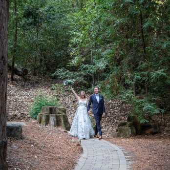 Honey Bear Events - Event Planning & Services Near Me Honey Bear Events - Event Planning & Services Near Me