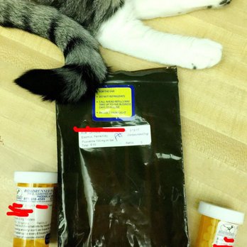 Roadrunner Pharmacy - Excuse the cat feet. - Veterinarians Near Me - Phoenix, Arizona Roadrunner Pharmacy - Excuse the cat feet. - Veterinarians Near Me - Phoenix, Arizona