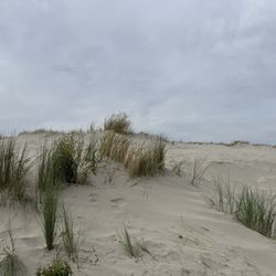 Autofreie Insel !