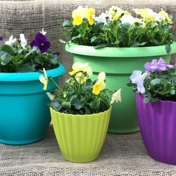 Rountree Nursery & Supply