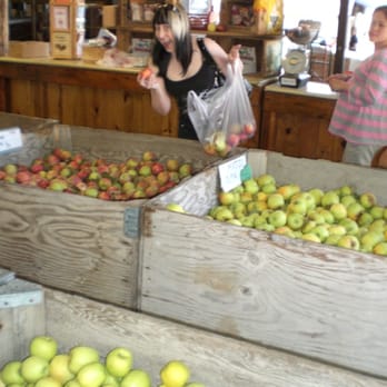 High Hill Ranch - Donuts Near Me - Placerville, California High Hill Ranch - Donuts Near Me - Placerville, California