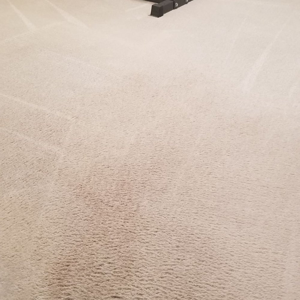 Beyond Carpet and Tile - Carpet after the cleaning - Carpet Cleaning Near Me - Nipomo, California