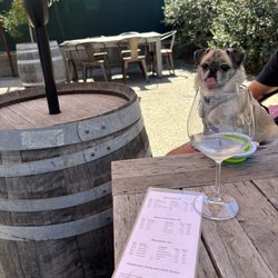Patio with my pug'