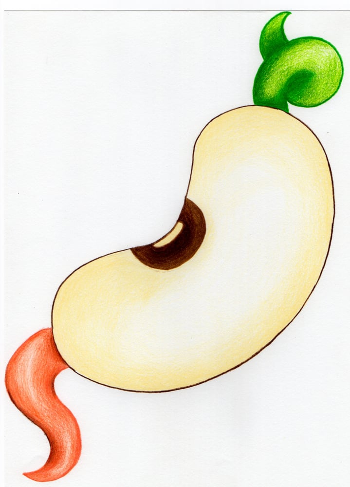 A NATURAL MARKETPLACE & BAKERY 106 Broadway Ave S, Buhl, Idaho