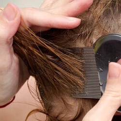 Nitty Gritty Lice Removal - We get to the Nitty Gritty of lice and nit removal!