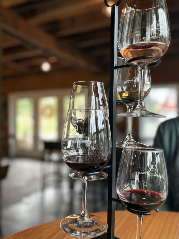 Angelico Winery - vineyard in Lambertville, NJ