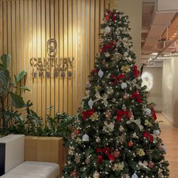 Century Beauty Group