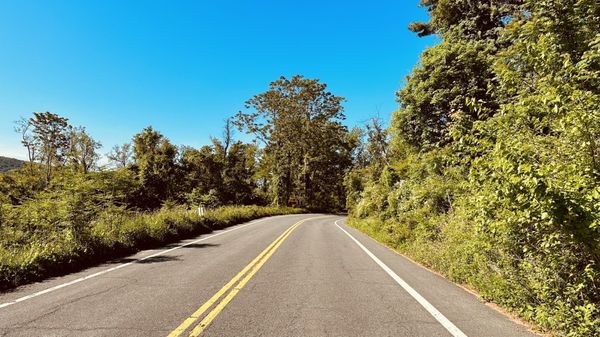 Bear Mountain by null