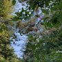 Golden Ears Provincial Park