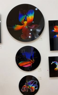 Urban Arts Gallery by null