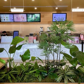 Molly Tea - Counter - Bubble Tea Near Me - Sunnyvale, California Molly Tea - Counter - Bubble Tea Near Me - Sunnyvale, California