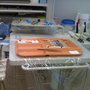 Photo of Endo Mark M DDS